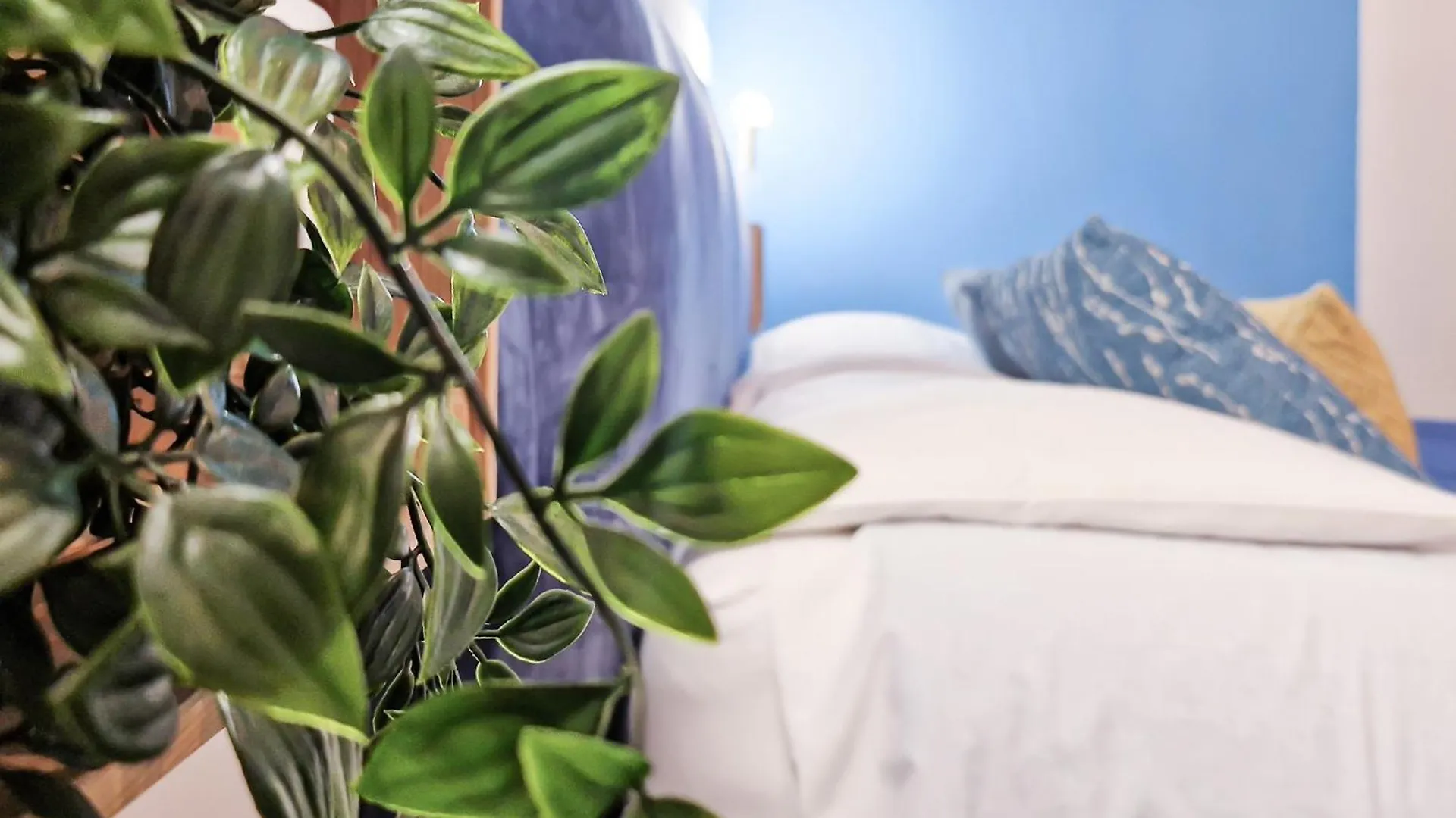 Hotel Domus 19 Napoli Affittacamere